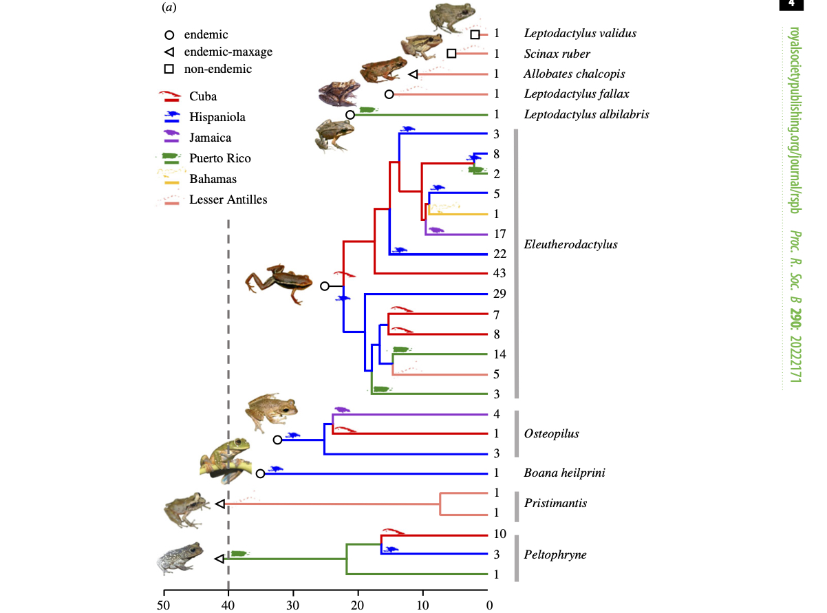 Radiaciones Adaptativas y Biodiversidad   